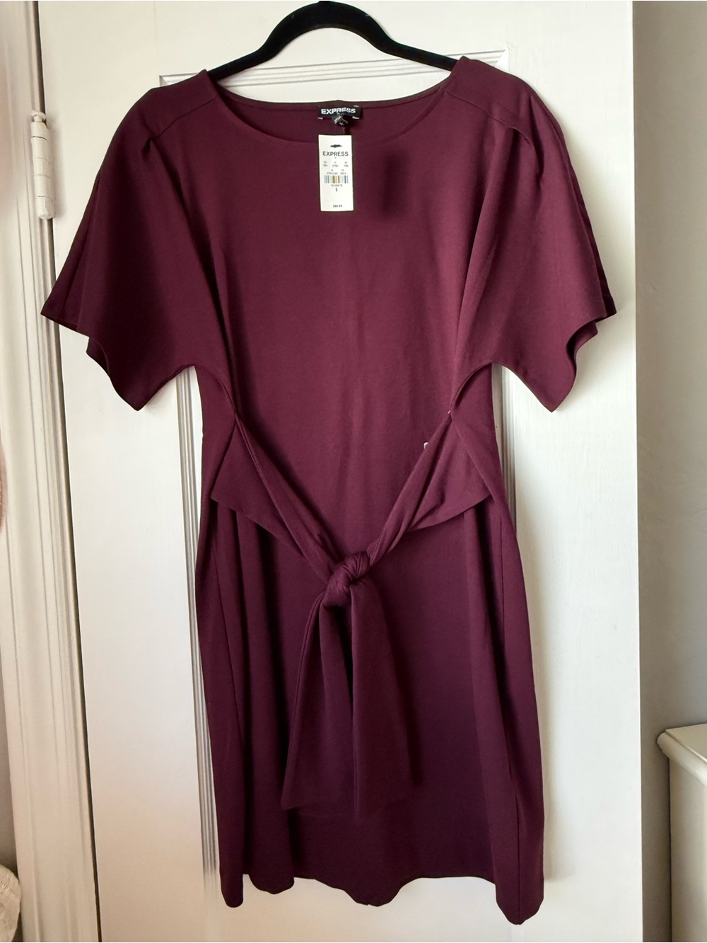 Express Women's Tie-Front Dress in Wine Color